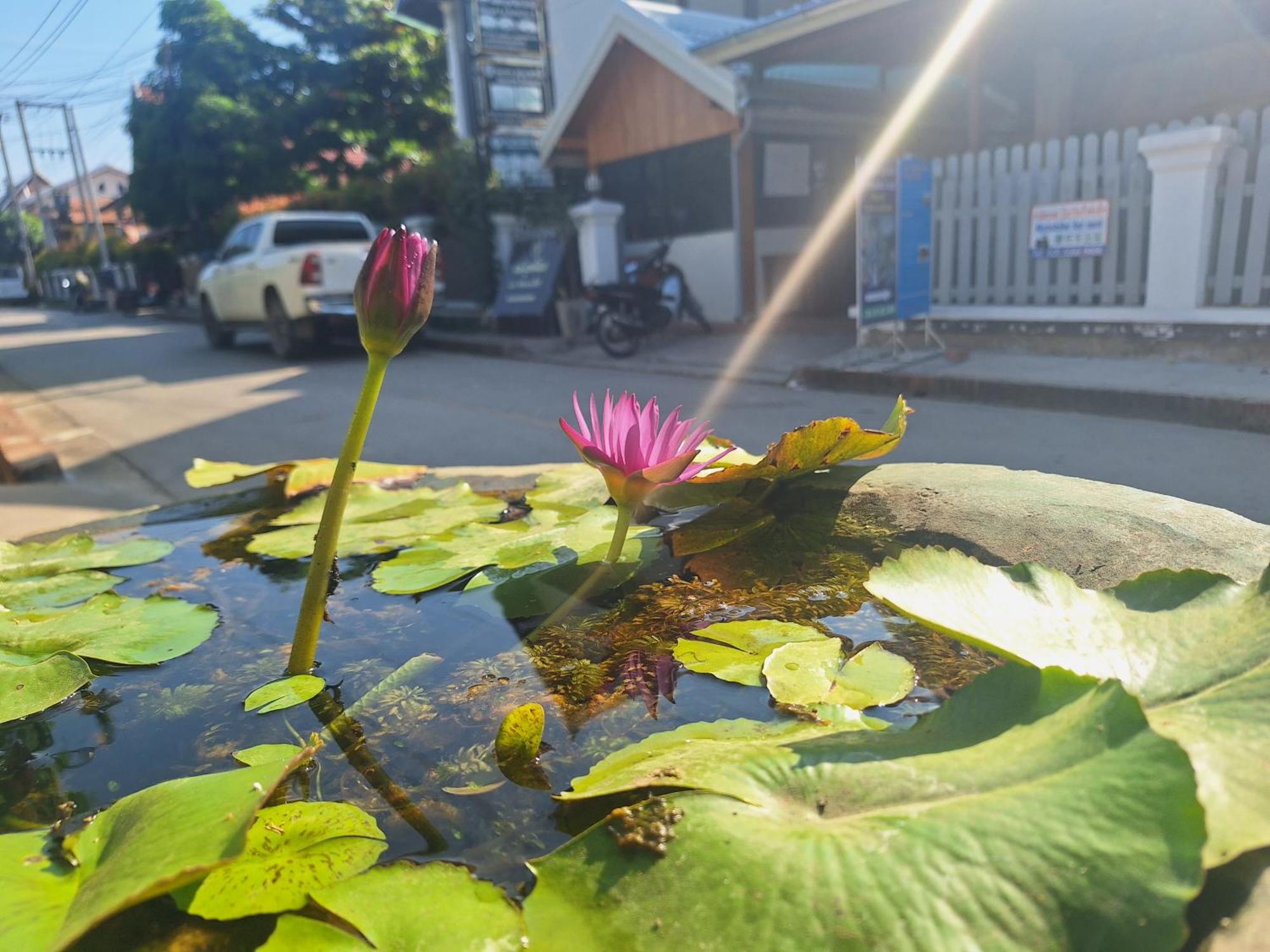Villa Khounsok Sunset หลวงพระบาง ภายนอก รูปภาพ